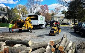 Best Aeration Services  in Waterloo, WI