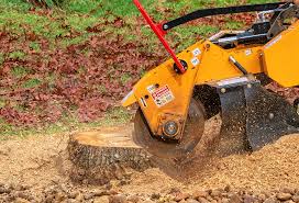 Best Emergency Tree Removal  in Waterloo, WI
