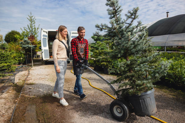Best Lawn Watering Services  in Waterloo, WI